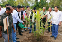 sowing sustainability mega oil palm drive launched